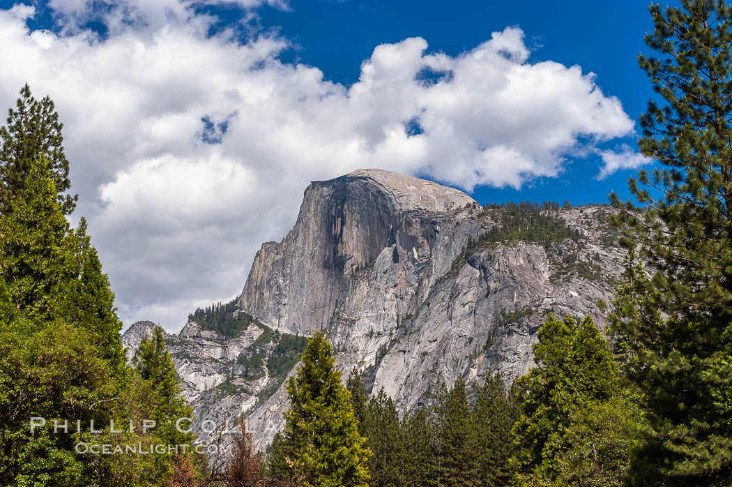 Half Dome, Yosemite National Park, Spring. California, USA, natural history stock photograph, photo id 09186