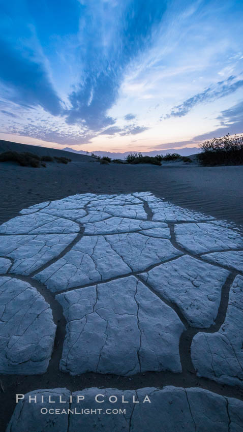 Hardened mud playa and sand dunes, dawn, Mesquite dunes. Stovepipe Wells, Death Valley National Park, California, USA, natural history stock photograph, photo id 28679