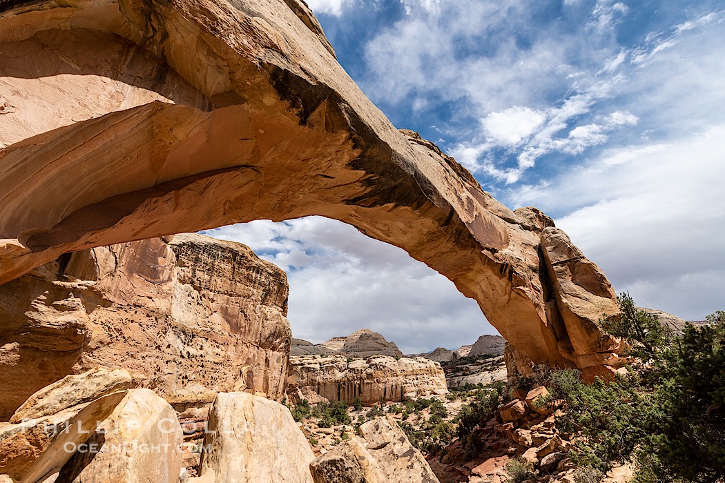 Hickman Bridge, Capitol Reef National Park., natural history stock photograph, photo id 37011
