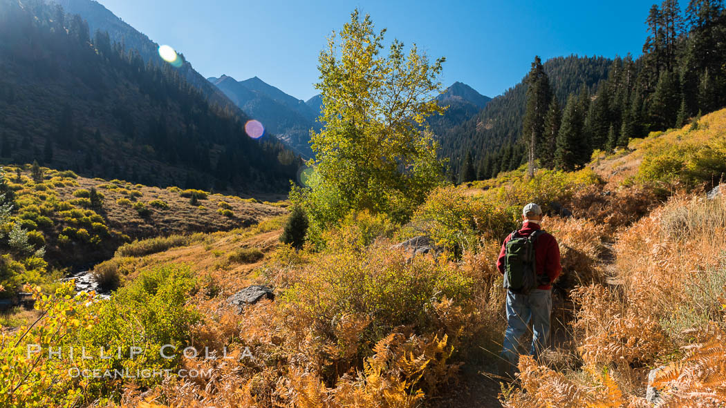 Hiker at Dawn in Mineral King Valley, Sequioa National Park, California. Sequoia National Park, USA, natural history stock photograph, photo id 32261