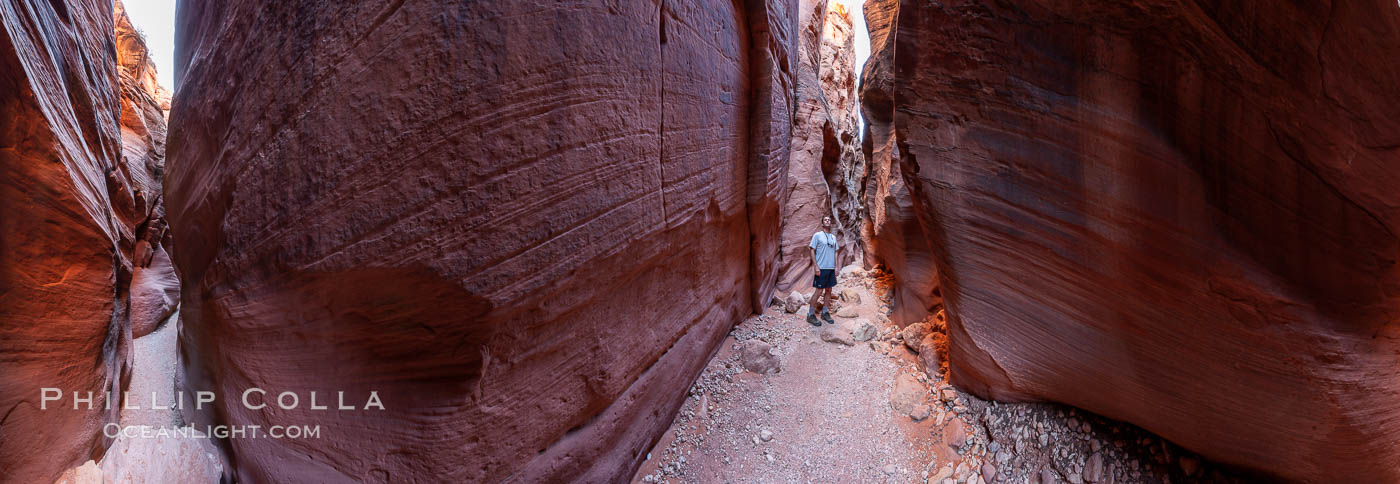 A hiker considers the Wire Pass narrows.  This exceeding narrow slot canyons, in some places only two feet wide, was formed by water erosion which cuts slots deep into the surrounding sandstone plateau.  This is a panorama created from eleven individual photographs. Paria Canyon-Vermilion Cliffs Wilderness, Arizona, USA, natural history stock photograph, photo id 20707