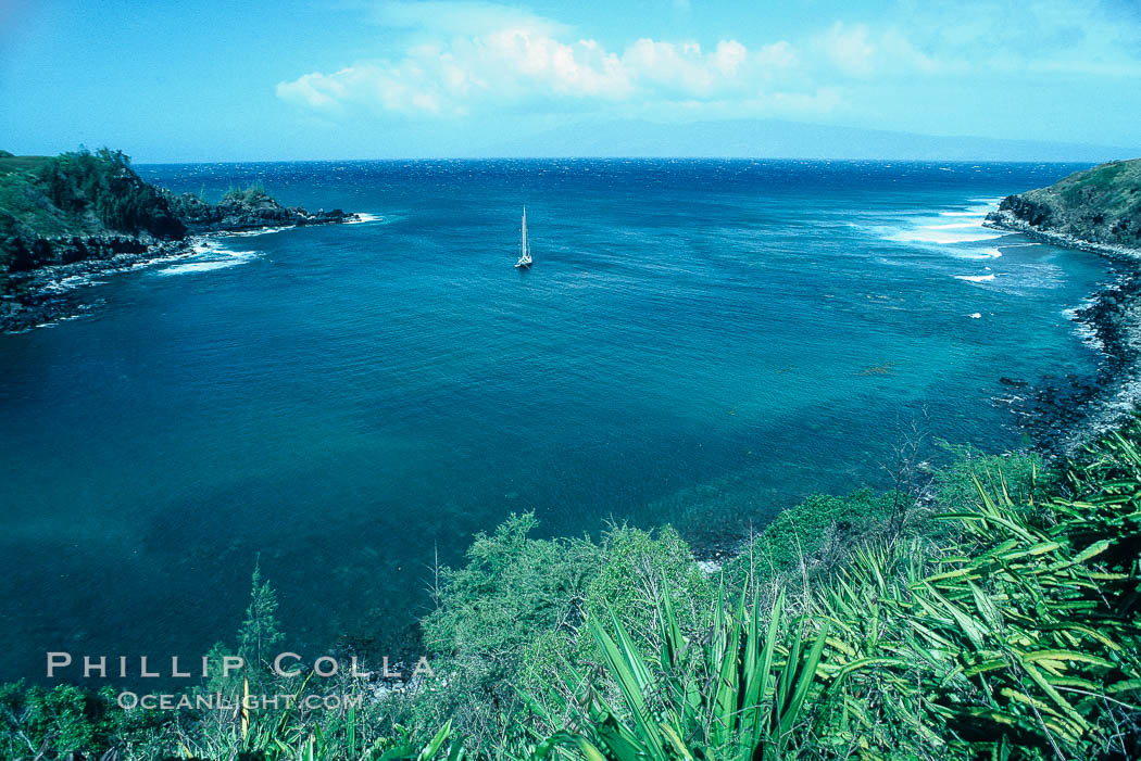 Honolua Bay, West Maui. Hawaii, USA, natural history stock photograph, photo id 05607