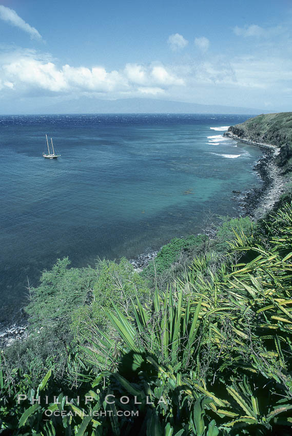 Honolua Bay, West Maui. Hawaii, USA, natural history stock photograph, photo id 18505