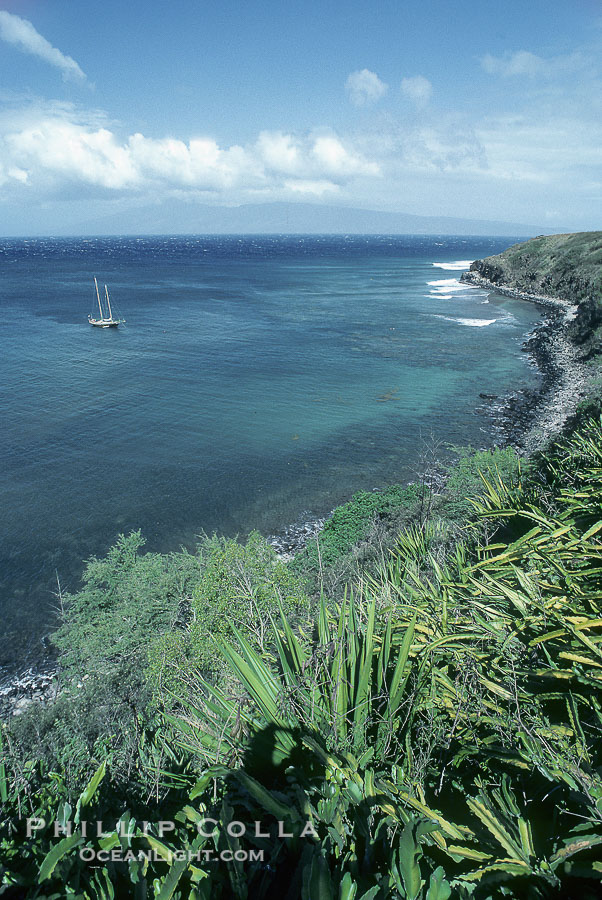 Honolua Bay, West Maui., natural history stock photograph, photo id 18505