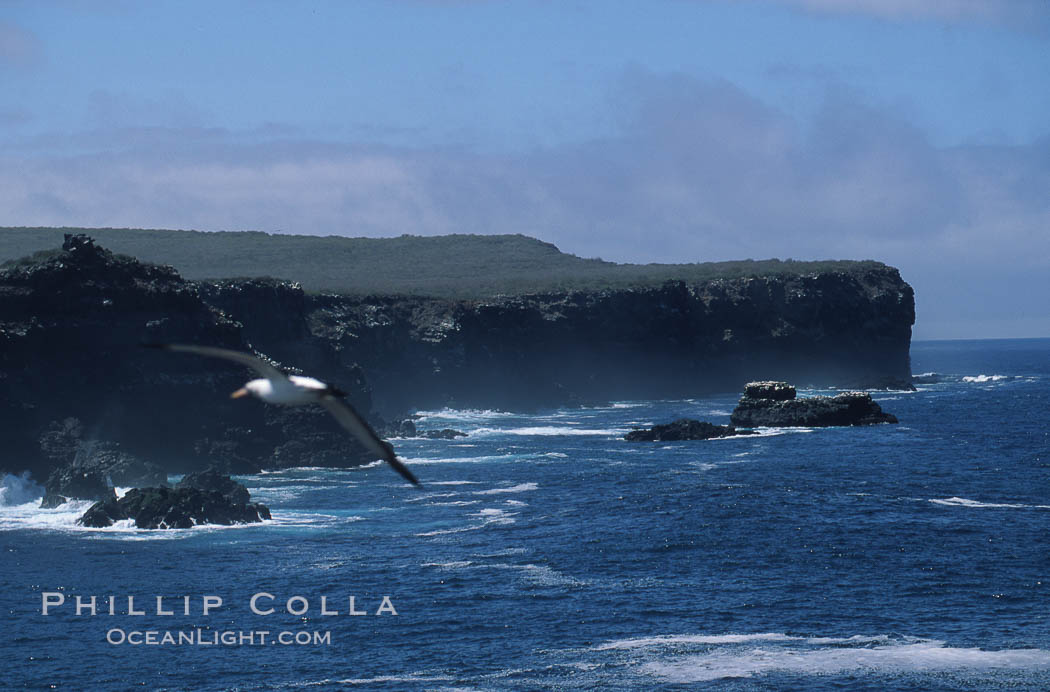 Hood Island. Galapagos Islands, Ecuador, natural history stock photograph, photo id 05573