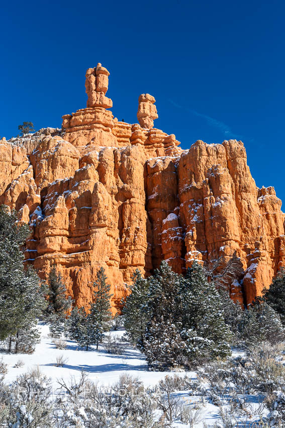 Hoodoos, walls and sandstone spires. Red Canyon, Dixie National Forest, Utah, USA, natural history stock photograph, photo id 18086