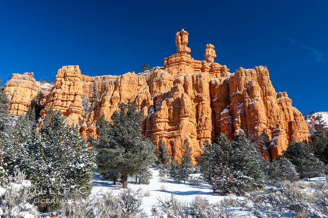 Hoodoos, walls and sandstone spires. Red Canyon, Dixie National Forest, Utah, USA, natural history stock photograph, photo id 18090