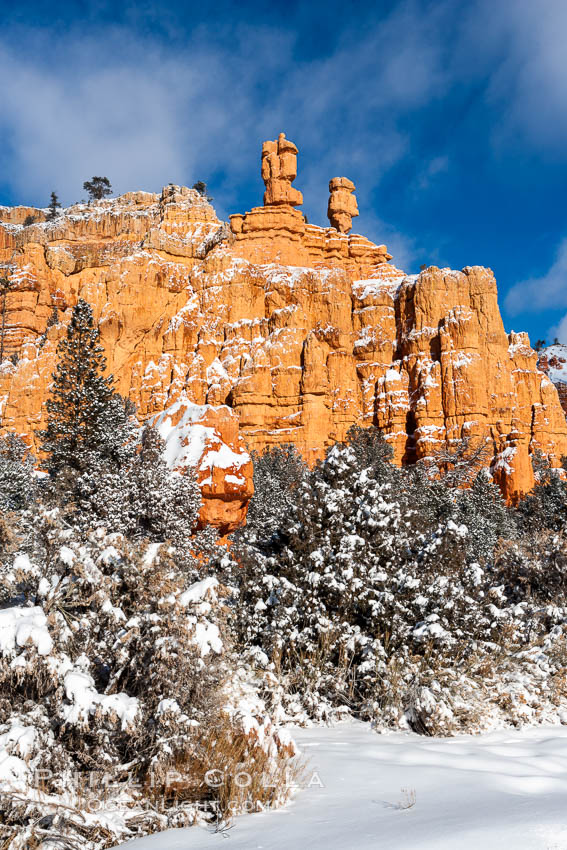 Hoodoos, walls and sandstone spires. Red Canyon, Dixie National Forest, Utah, USA, natural history stock photograph, photo id 18089