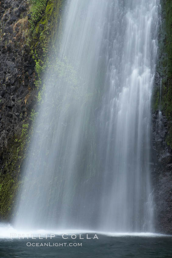 Horsetail Falls drops 176 feet just a few yards off the Columbia Gorge Scenic Highway. Columbia River Gorge National Scenic Area, Oregon, USA, natural history stock photograph, photo id 19318