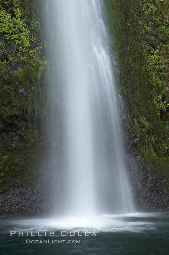 Horsetail Falls drops 176 feet just a few yards off the Columbia Gorge Scenic Highway. Columbia River Gorge National Scenic Area, Oregon, USA, natural history stock photograph, photo id 19320