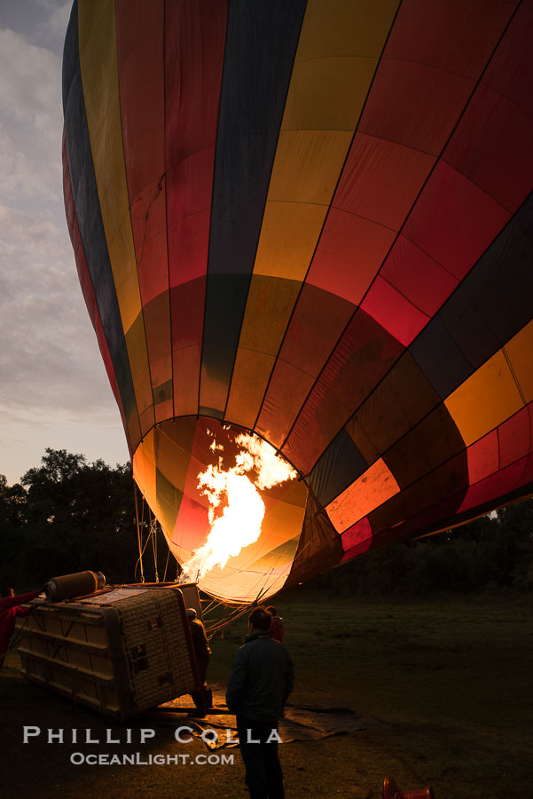 Hot Air Ballooning over Maasai Mara plains, Kenya., natural history stock photograph, photo id 29800