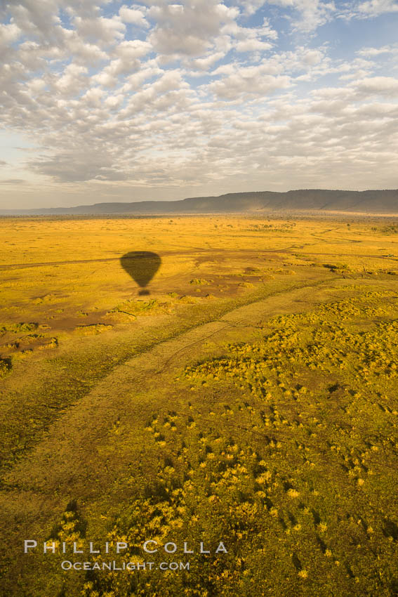 Hot Air Ballooning over Maasai Mara plains, Kenya. Maasai Mara National Reserve, natural history stock photograph, photo id 29820