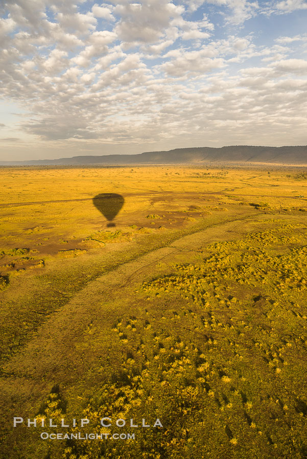 Hot Air Ballooning over Maasai Mara plains, Kenya., natural history stock photograph, photo id 29820