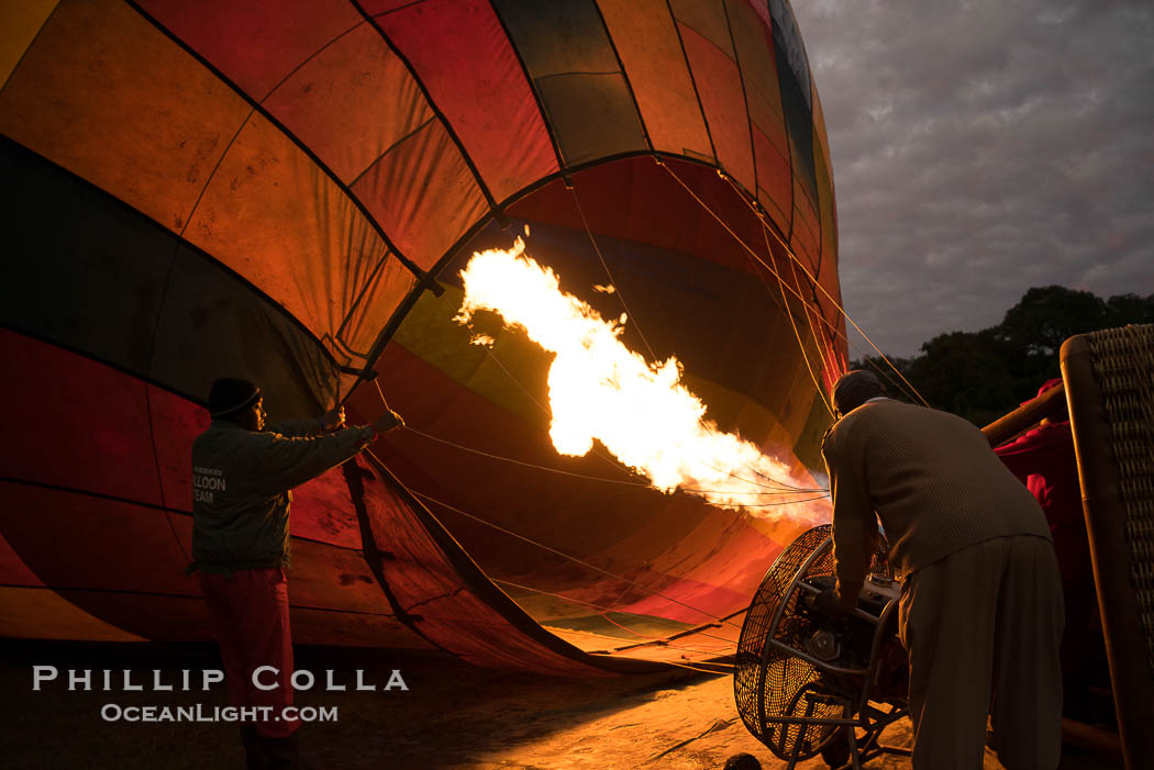 Hot Air Ballooning over Maasai Mara plains, Kenya., natural history stock photograph, photo id 29801