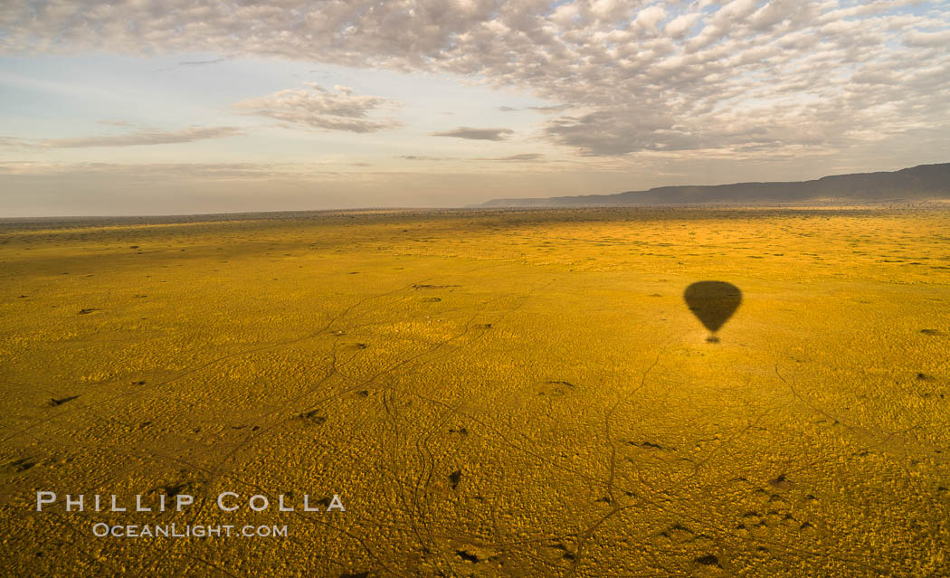 Hot Air Ballooning over Maasai Mara plains, Kenya. Maasai Mara National Reserve, natural history stock photograph, photo id 29821
