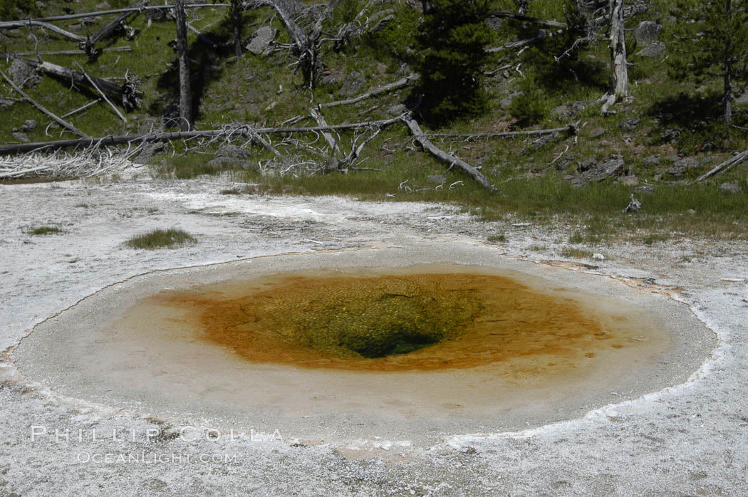 Unidentified hot spring. Upper Geyser Basin, Yellowstone National Park, Wyoming, USA, natural history stock photograph, photo id 07315