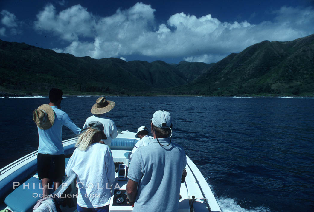 Hawaii Whale Research Foundation research staff. Maui, USA, natural history stock photograph, photo id 04540