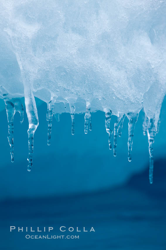 Icicles and melting ice, hanging from the edge of an blue iceberg.  Is this the result of climate change and global warming?. Brown Bluff, Antarctic Peninsula, Antarctica, natural history stock photograph, photo id 24866