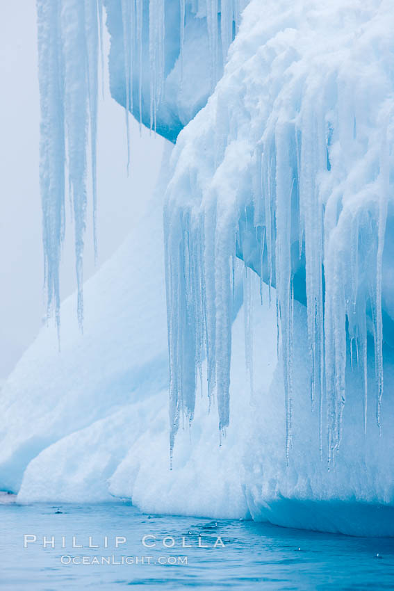 Icicles and melting ice, hanging from the edge of an blue iceberg.  Is this the result of climate change and global warming?. Brown Bluff, Antarctic Peninsula, Antarctica, natural history stock photograph, photo id 24856