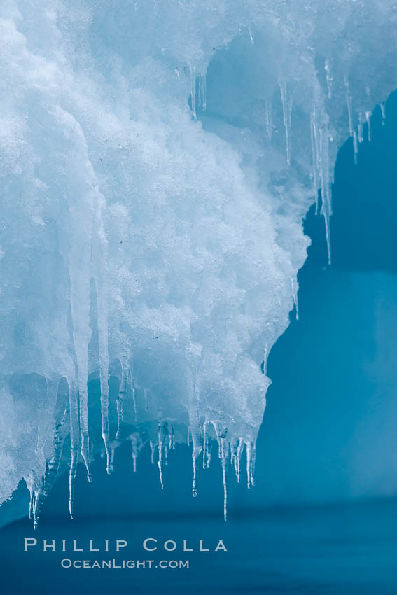 Icicles and melting ice, hanging from the edge of an blue iceberg.  Is this the result of climate change and global warming?. Brown Bluff, Antarctic Peninsula, Antarctica, natural history stock photograph, photo id 24867