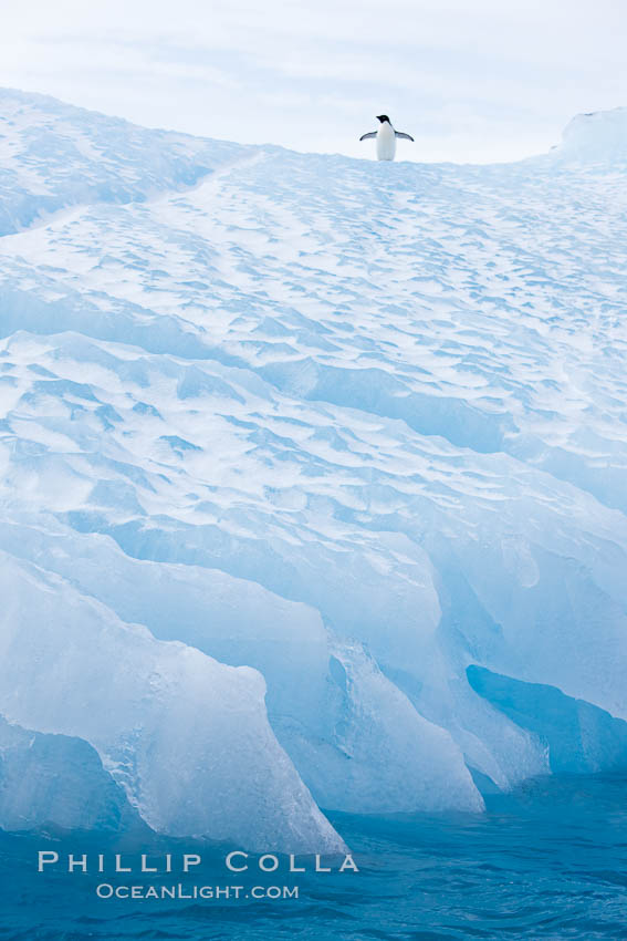 Iceberg detail. Paulet Island, Antarctic Peninsula, Antarctica, natural history stock photograph, photo id 24901