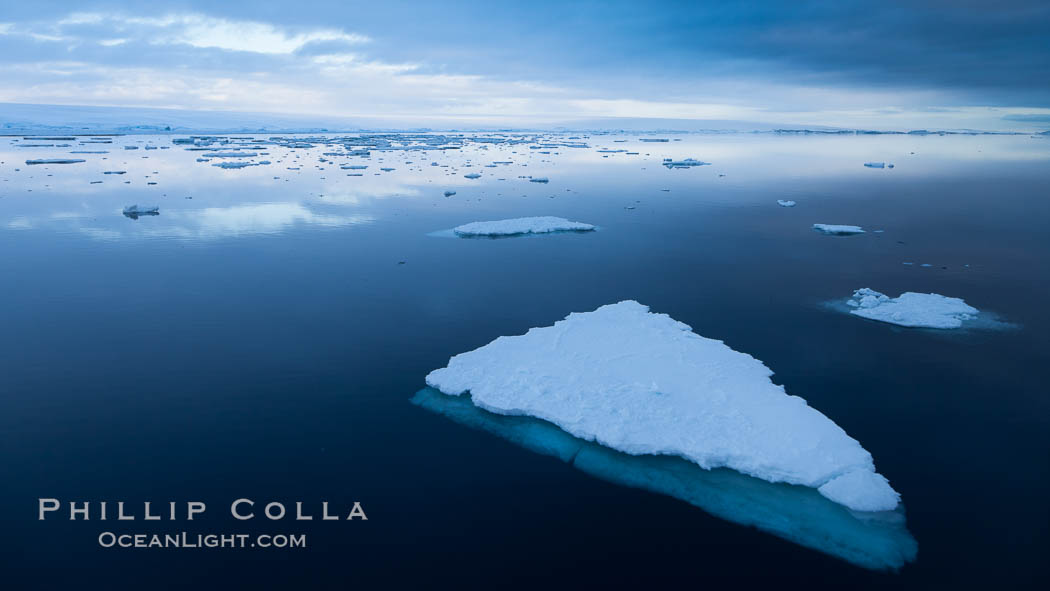 Icebergs and ice near Paulet Island. Antarctic Peninsula, Antarctica, natural history stock photograph, photo id 26370