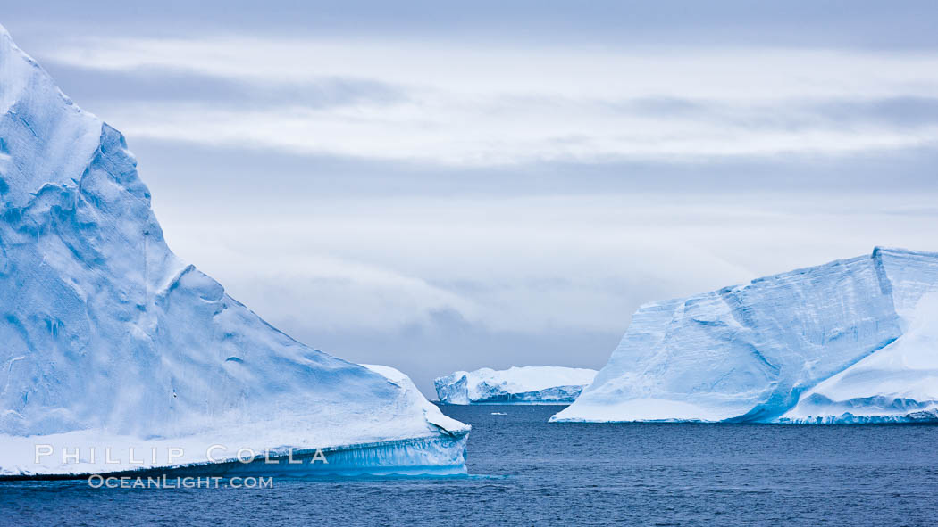 Icebergs and ice near Paulet Island. Antarctic Peninsula, Antarctica, natural history stock photograph, photo id 26357