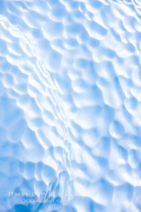 Icebergs and ice near Paulet Island. Antarctic Peninsula, Antarctica, natural history stock photograph, photo id 26365