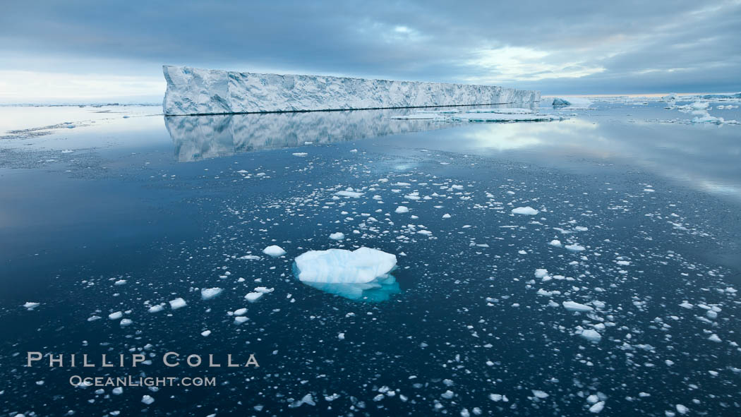 Icebergs and ice near Paulet Island. Antarctic Peninsula, Antarctica, natural history stock photograph, photo id 26369