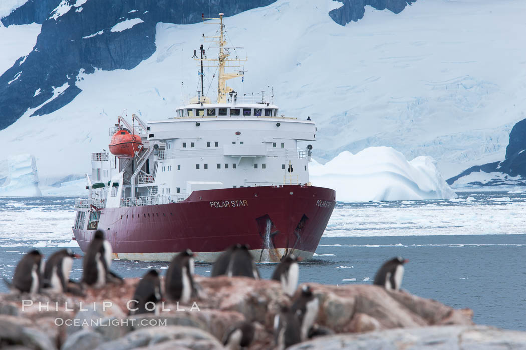 Icebreaker M/V Polar Star, anchored near Peterman Island, Antarctica. Antarctic Peninsula, Pygoscelis papua, natural history stock photograph, photo id 25612