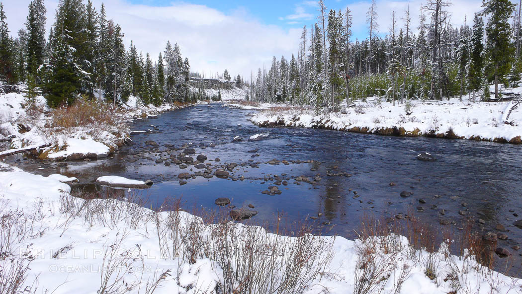 Indian Creek in winter, snow. Yellowstone National Park, Wyoming, USA, natural history stock photograph, photo id 19793