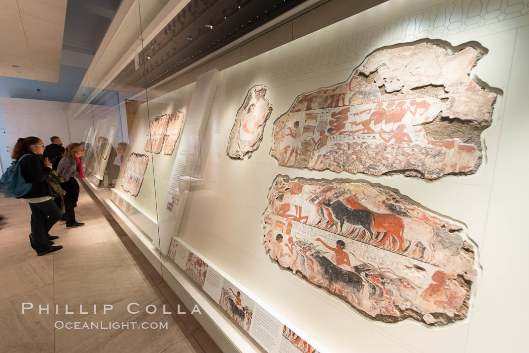 Inside the British Museum. London, United Kingdom, natural history stock photograph, photo id 28308