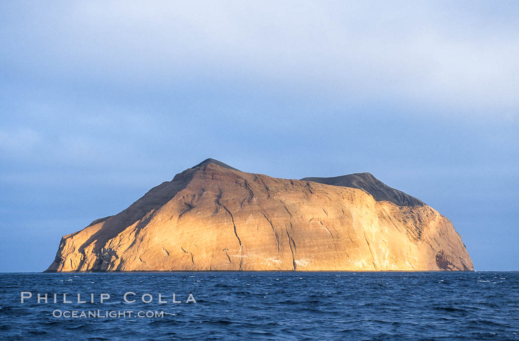 Isla Adentro in dramatic early morning light. Guadalupe Island (Isla Guadalupe), Baja California, Mexico, natural history stock photograph, photo id 09758