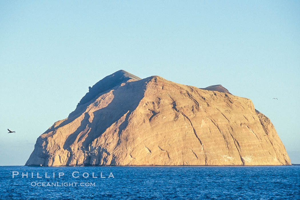 Isla Adentro. Guadalupe Island (Isla Guadalupe), Baja California, Mexico, natural history stock photograph, photo id 06140