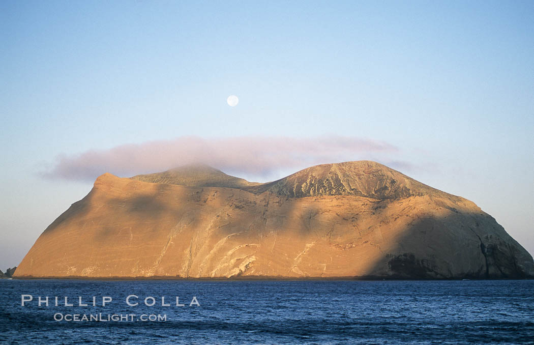 Isla Adentro and setting moon, daybreak. Guadalupe Island (Isla Guadalupe), Baja California, Mexico, natural history stock photograph, photo id 06144
