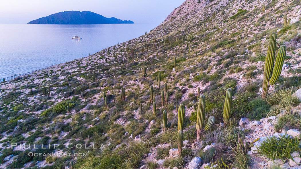 Isla San Diego, Aerial View, Sea of Cortez. Baja California, Mexico, natural history stock photograph, photo id 33516