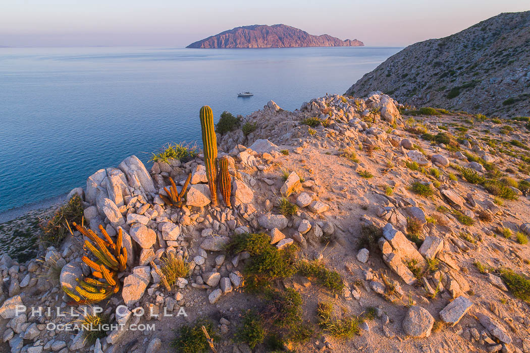 Isla San Diego, Aerial View, Sea of Cortez., natural history stock photograph, photo id 33519