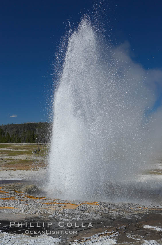 Jewel Geyser, Biscuit Basin, Yellowstone National Park, Wyoming
