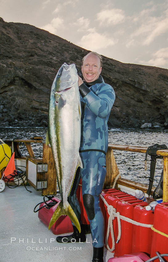 Joe Tobin with world record yellowtail, Guadalupe Island, Mexico. Guadalupe Island (Isla Guadalupe), Baja California, natural history stock photograph, photo id 36224