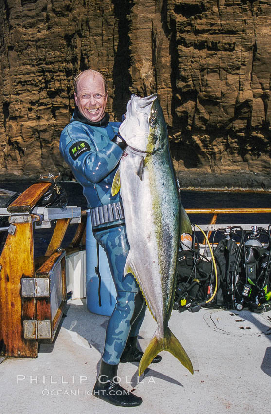 Joe Tobin with world record yellowtail, Guadalupe Island, Mexico. Guadalupe Island (Isla Guadalupe), Baja California, natural history stock photograph, photo id 36221