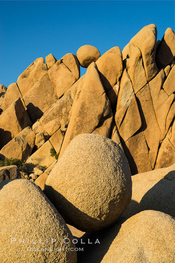 Jumbo Rocks at sunset, warm last light falling on the boulders. Joshua Tree National Park, California, USA, natural history stock photograph, photo id 29182