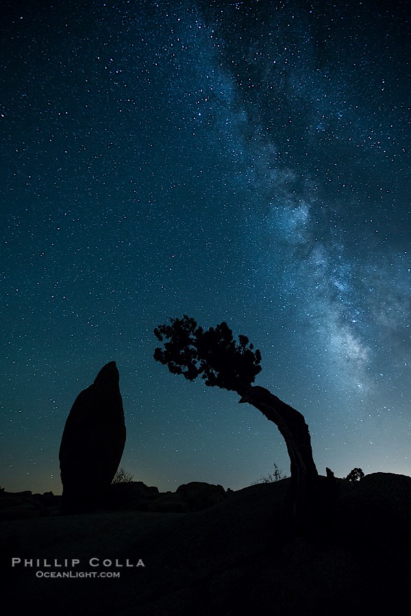 Juniper and Standing Rock with Milky., natural history stock photograph, photo id 27816