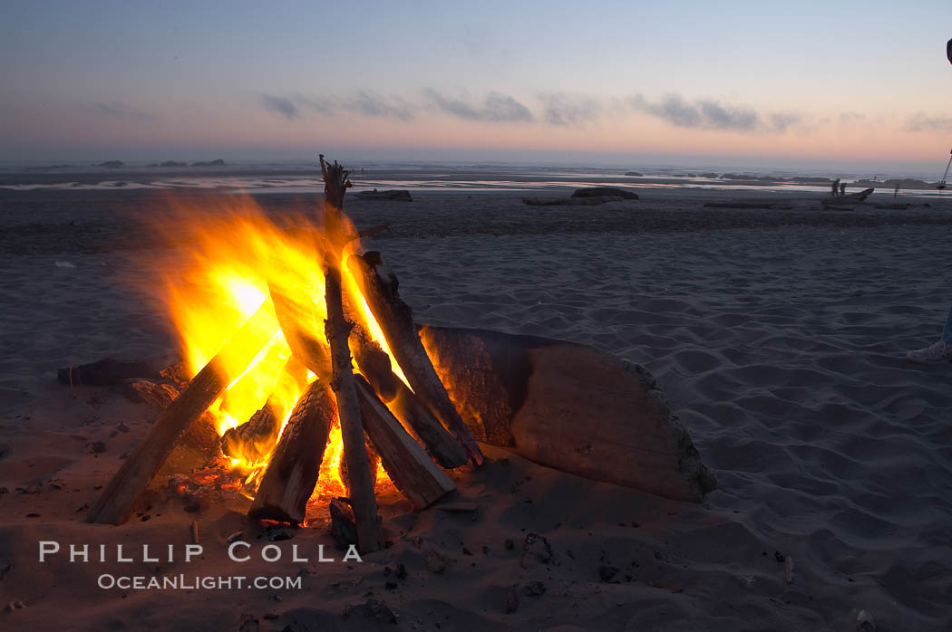 Evening beach fire. Kalaloch, Olympic National Park, Washington, USA, natural history stock photograph, photo id 13788