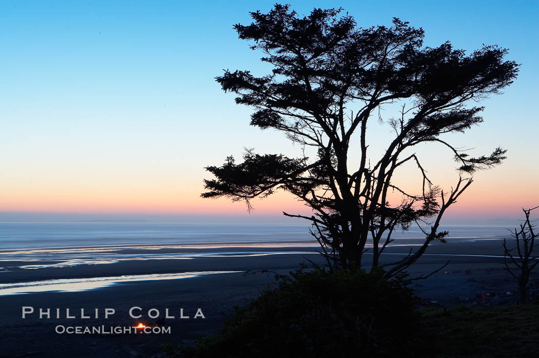 Sunset over the Pacific, Kalaloch Beach. Olympic National Park, Washington, USA, natural history stock photograph, photo id 13789