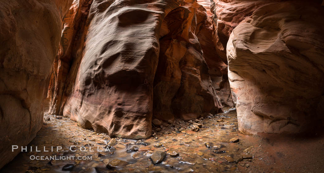 Kanarra Creek Canyon, Utah. Kanarraville, USA, natural history stock photograph, photo id 32648