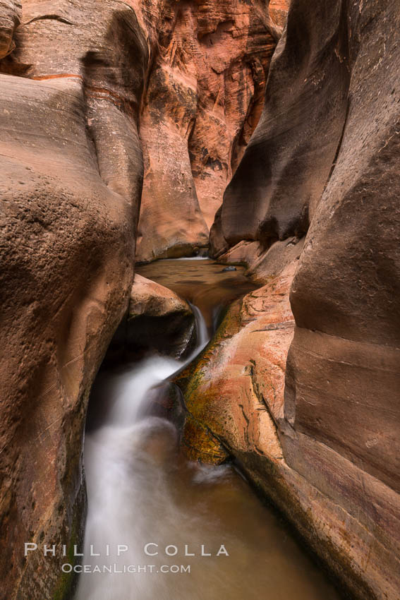 Kanarra Creek Canyon, Utah. Kanarraville, USA, natural history stock photograph, photo id 32641