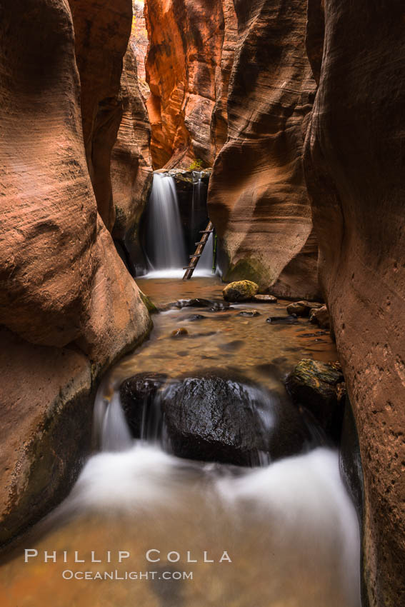 Kanarra Creek Falls in Kanarra Canyon, Utah. Kanarraville, USA, natural history stock photograph, photo id 32642