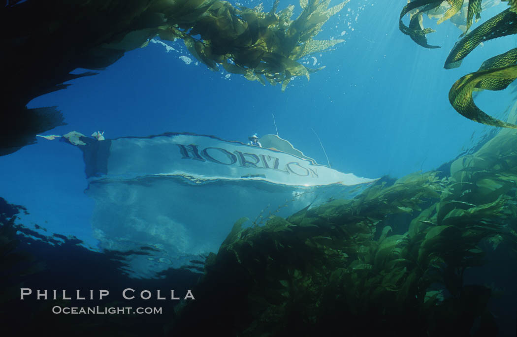 Boat Horizon at anchor in kelp forest. San Clemente Island, California, USA, Macrocystis pyrifera, natural history stock photograph, photo id 07611