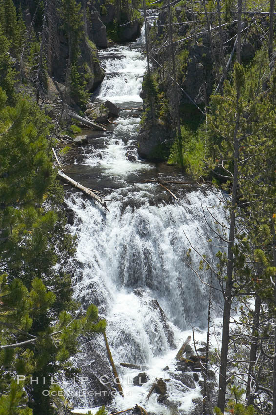 Kepler Cascades, a 120 foot drop in the Firehole River, near Old Faithful. Yellowstone National Park, Wyoming, USA, natural history stock photograph, photo id 13314