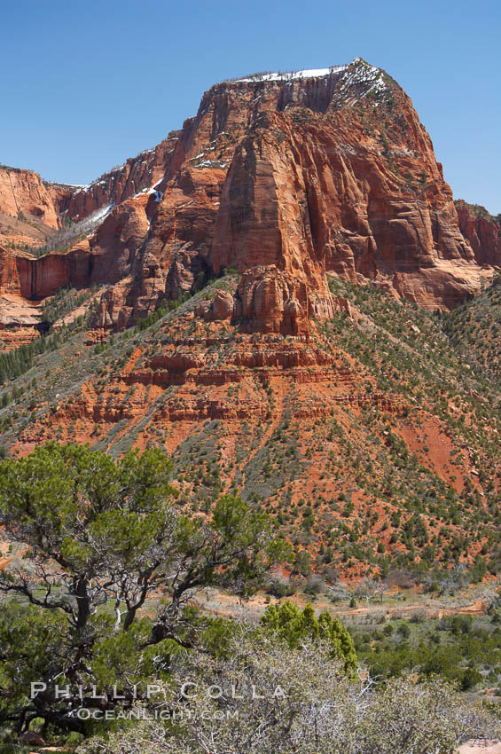 Kolob Canyon. Zion National Park, Utah, USA, natural history stock photograph, photo id 12482